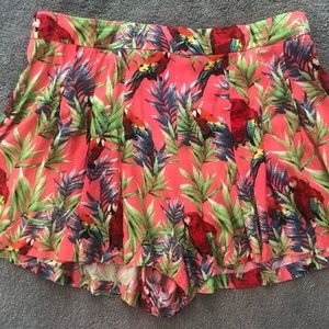 Parrot Print Shorts